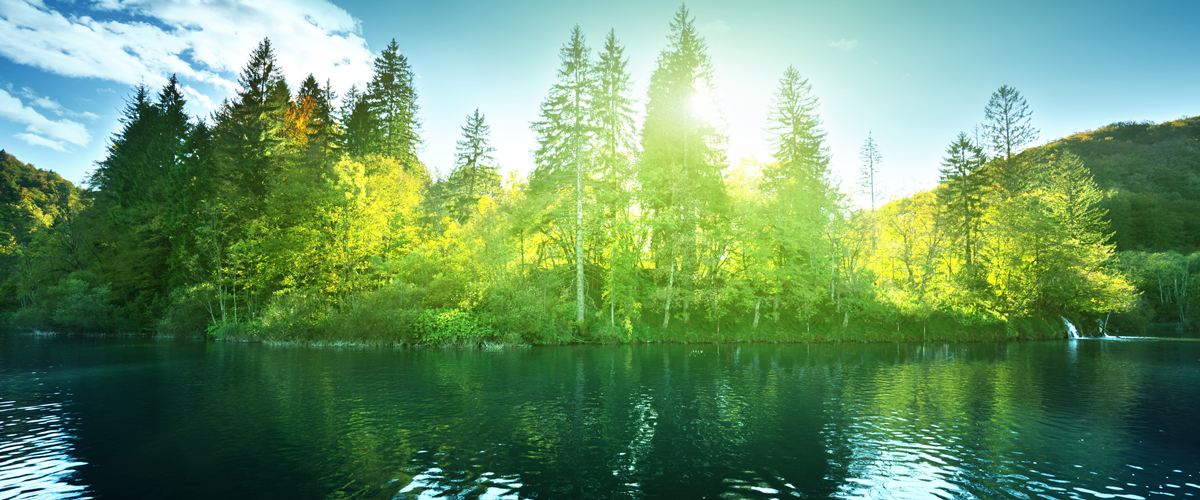 Evergreen trees with a blue sky and lake demonstrating environmental excellence.